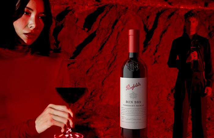 Penfolds Bin 389